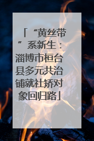 “黄丝带”系新生：淄博市桓台县多元共治铺就社矫对象回归路