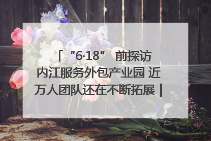 “6·18” 前探访内江服务外包产业园 近万人团队还在不断拓展｜内江东兴“红”在哪⑤