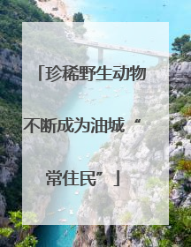 珍稀野生动物不断成为油城“常住民”