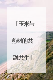 玉米与药材的共融共生