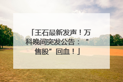 王石最新发声！万科晚间突发公告：“售股”回血！
