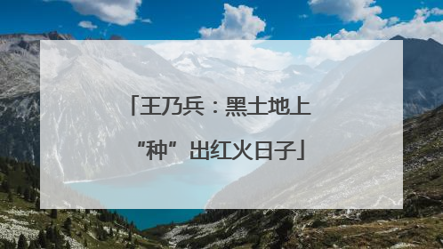 王乃兵：黑土地上“种”出红火日子