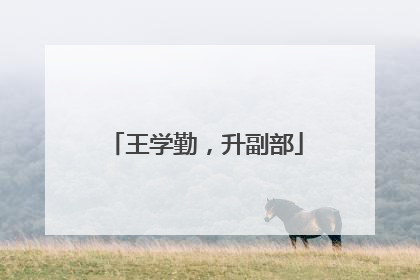 王学勤，升副部