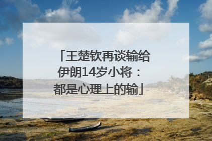 王楚钦再谈输给伊朗14岁小将：都是心理上的输