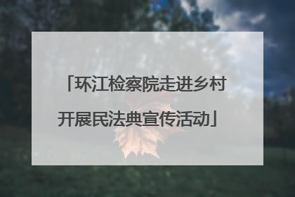 环江检察院走进乡村开展民法典宣传活动