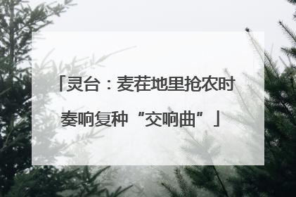 灵台：麦茬地里抢农时 奏响复种“交响曲”