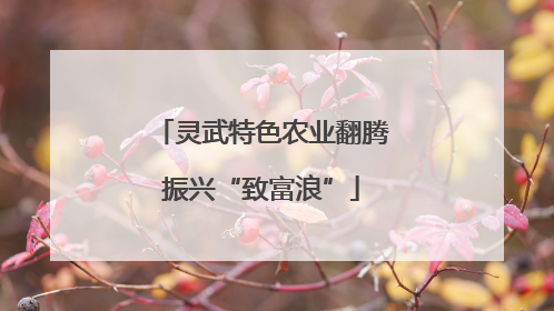 灵武特色农业翻腾振兴“致富浪”