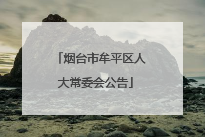 烟台市牟平区人大常委会公告