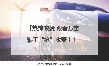 热辣滚烫 跟着万亩粮王“抢”收麦！