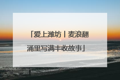 爱上潍坊丨麦浪翻涌里写满丰收故事