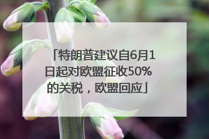 特朗普建议自6月1日起对欧盟征收50%的关税，欧盟回应