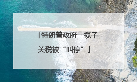 特朗普政府一揽子关税被“叫停”