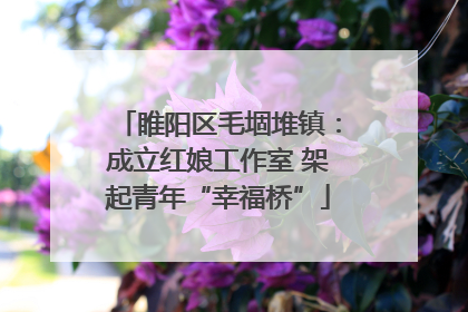 睢阳区毛堌堆镇：成立红娘工作室 架起青年“幸福桥”