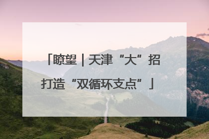 瞭望｜天津“大”招打造“双循环支点”