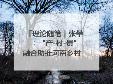 理论随笔｜张攀：“产-村-景”融合助推河南乡村振兴建设