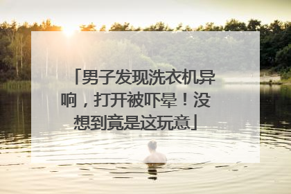 男子发现洗衣机异响，打开被吓晕！没想到竟是这玩意
