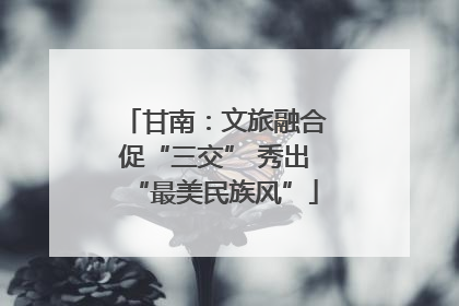 甘南：文旅融合促“三交” 秀出“最美民族风”