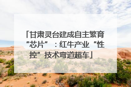 甘肃灵台建成自主繁育“芯片”：红牛产业“性控”技术弯道超车
