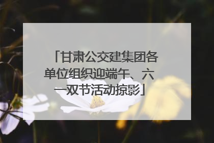 甘肃公交建集团各单位组织迎端午、六一双节活动掠影
