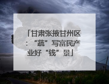 甘肃张掖甘州区：“蔬”写富民产业好“钱”景