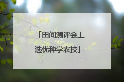田间测评会上选优种学农技
