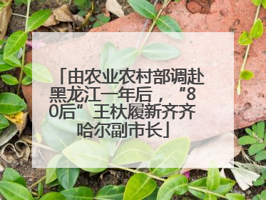 由农业农村部调赴黑龙江一年后，“80后”王杕履新齐齐哈尔副市长