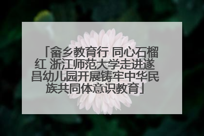 畲乡教育行 同心石榴红 浙江师范大学走进遂昌幼儿园开展铸牢中华民族共同体意识教育