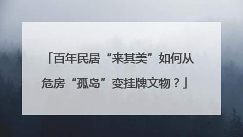百年民居“来其美”如何从危房“孤岛”变挂牌文物？