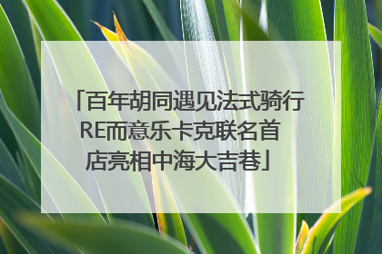 百年胡同遇见法式骑行 RE而意乐卡克联名首店亮相中海大吉巷