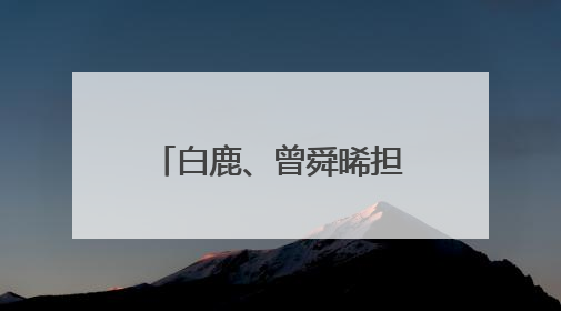 白鹿、曾舜晞担任爱奇艺VIP内容推荐官 剧粉解锁追剧新福利