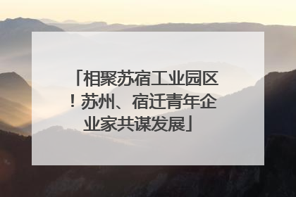 相聚苏宿工业园区！苏州、宿迁青年企业家共谋发展