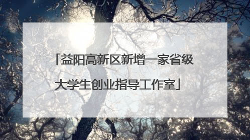 益阳高新区新增一家省级大学生创业指导工作室