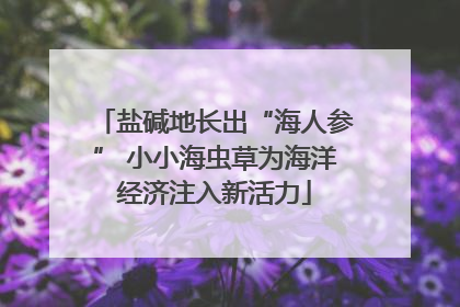 盐碱地长出“海人参” 小小海虫草为海洋经济注入新活力