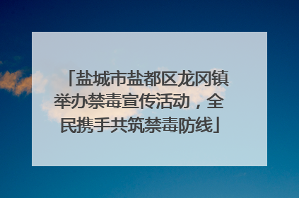 盐城市盐都区龙冈镇举办禁毒宣传活动，全民携手共筑禁毒防线