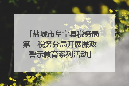 盐城市阜宁县税务局第一税务分局开展廉政警示教育系列活动