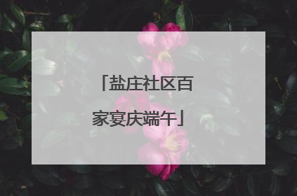 盐庄社区百家宴庆端午