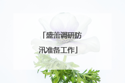 盛蕾调研防汛准备工作