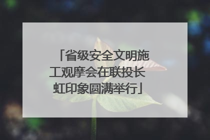 省级安全文明施工观摩会在联投长虹印象圆满举行