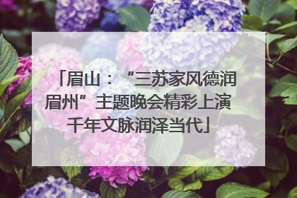眉山：“三苏家风德润眉州”主题晚会精彩上演千年文脉润泽当代