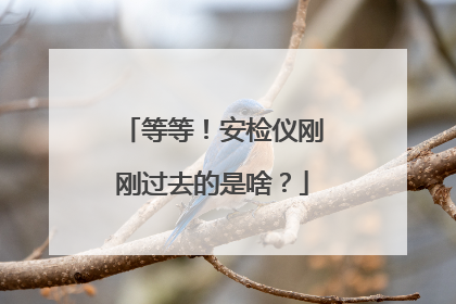 等等！安检仪刚刚过去的是啥？