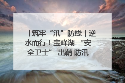 筑牢“汛”防线｜逆水而行！宝峰湖 “安全卫士” 出鞘 防汛应急再添硬核力量