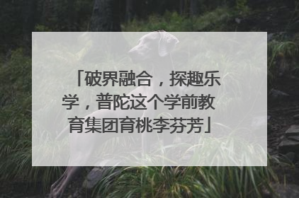 破界融合，探趣乐学，普陀这个学前教育集团育桃李芬芳