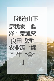 祁连山下是我家｜临泽：荒滩变良田 戈壁农业添“绿”生“金”