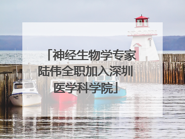 神经生物学专家陆伟全职加入深圳医学科学院