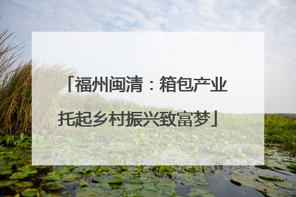 福州闽清：箱包产业托起乡村振兴致富梦