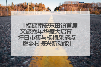 福建南安东田镇首届文旅嘉年华盛大启幕 圩日市集与杨梅采摘点燃乡村振兴新动能