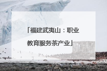 福建武夷山：职业教育服务茶产业