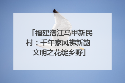 福建洛江马甲新民村：千年家风拂新韵 文明之花绽乡野