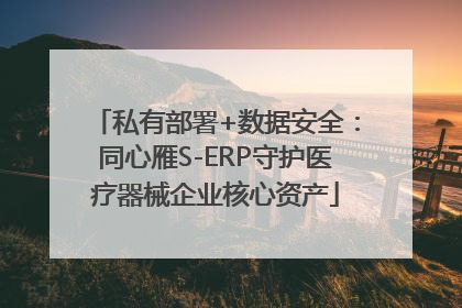 私有部署+数据安全：同心雁S-ERP守护医疗器械企业核心资产