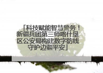 科技赋能智慧警务！新疆兵团第三师喀什垦区公安局构建数字防线守护边疆平安